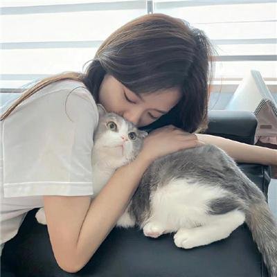 灵书妙探第七季